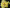 Хризантема мультифлора Elf Yellow (Эльф Еллоу)