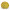Хризантема мультифлора Jasoda Dark Yellow Хризантема мультифлора Jasoda Dark Yellow