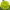 Хризантема крупноцветковая Jade Green (127)