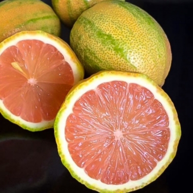 Гибрид лимон-апельсин Сангвинеум полосатый