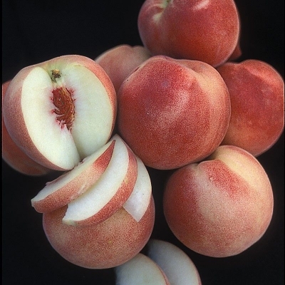 Персик беломясый Вайт Леди
