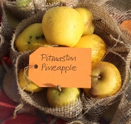 Яблоня анасовая Питмастон