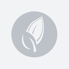 Азимина Потомак