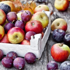 Наборы саженцев плодовых деревьев