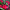 Дипладения Sundaville Early Scarlet