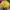 Хризантема мультифлора Bransound Lemon