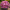 Хризантема мультифлора Homerun Pink 