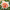 Нарцисс махровый Flower Surprise