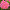 Гортензия крупнолистная Биг Дата Пинк, Big Data Pink