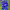 Дельфиниум Guardian Blue