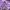 Дельфиниум Magic Fountains "Lavender with White Bee"