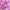 Дельфиниум Pink Blush