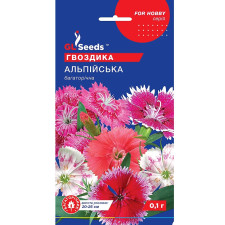 Гвоздика Альпийская семена
