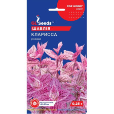 Сальвия Кларисса семена