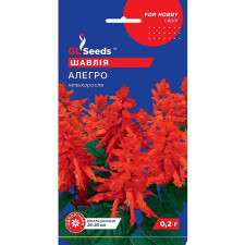 Сальвия Аллегро семена