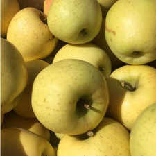 Яблоня Кранч-А-Банч, Crunch-A-Bunch