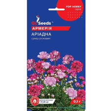 Армерия Ариадна смесь розовых семена