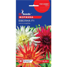 Георгина Эвелина F1 семена