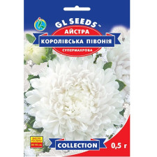 Астра Королевский пион семена