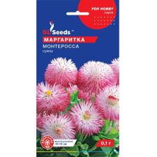 Маргаритки Монте Росса семена