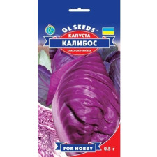Семена капусты краснокачанной Калибос