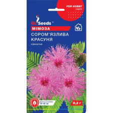 Мимоза комнатная Стыдливая красавица семена