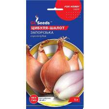 Лук-Шалот Запорожский семена