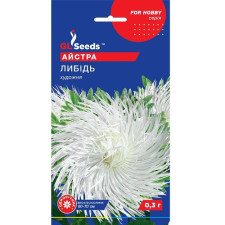 Астра Лебедь семена