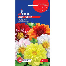 Георгины Радуга семена