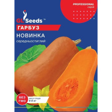 Насіння Гарбуза Новинка
