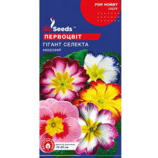 Семена Примулы Гигант Селекта