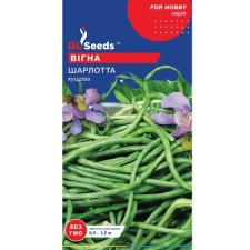 Семена фасоли вигна Шарлота