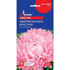 Астра Американская красавица семена