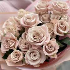 Роза чайно-гибридная Мента