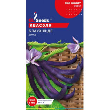 Семена фасоли спаржевой Блаухильде