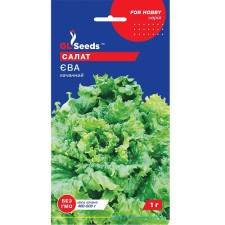 Семена Салата Ева кочанный (1г)