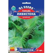 Пальмы китайской Ливистона семена