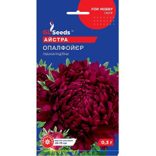 Астра Опал Фойер семена