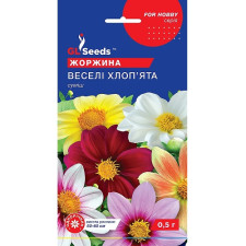 Георгина Веселые ребята семена