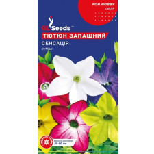 Семена Табака душистого Сенсация