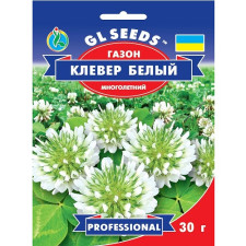 Клевер белый декоративный семена