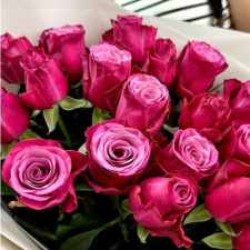 Роза чайно-гибридная Принц Персии