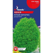 Насіння Кохії Лiтнiй кипарис