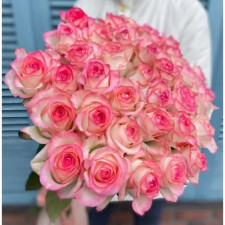 Роза чайно-гибридная Джумилия