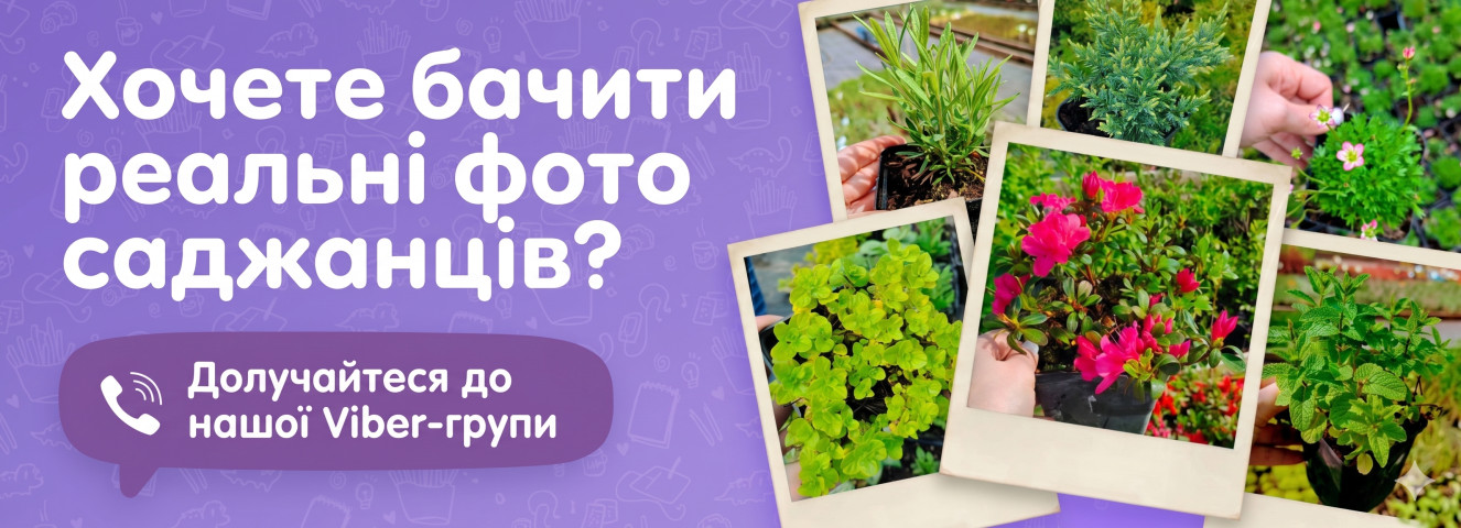 Viber