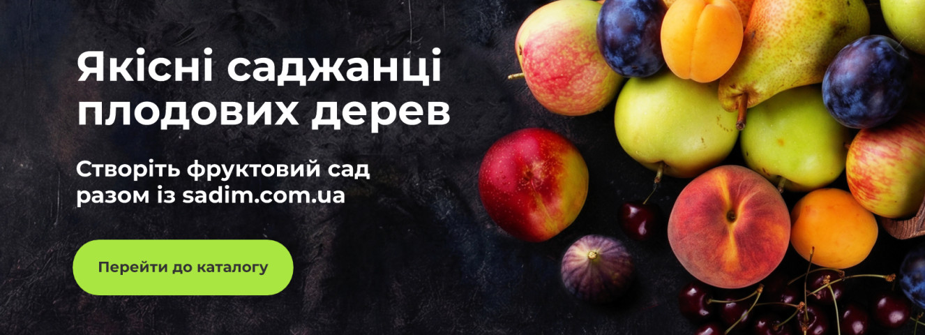 Якісні саджанці плодових дерев
