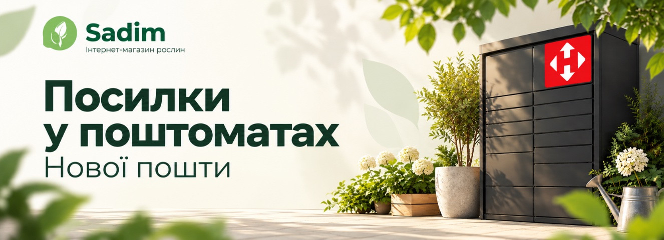 Нова пошта