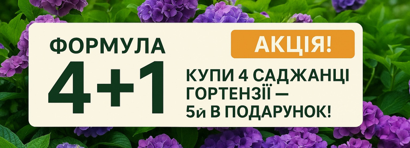 Тайна цвета: три по цене двух