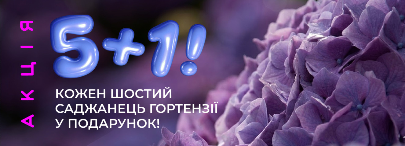 Тайна цвета: три по цене двух