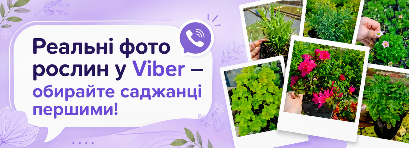 Viber